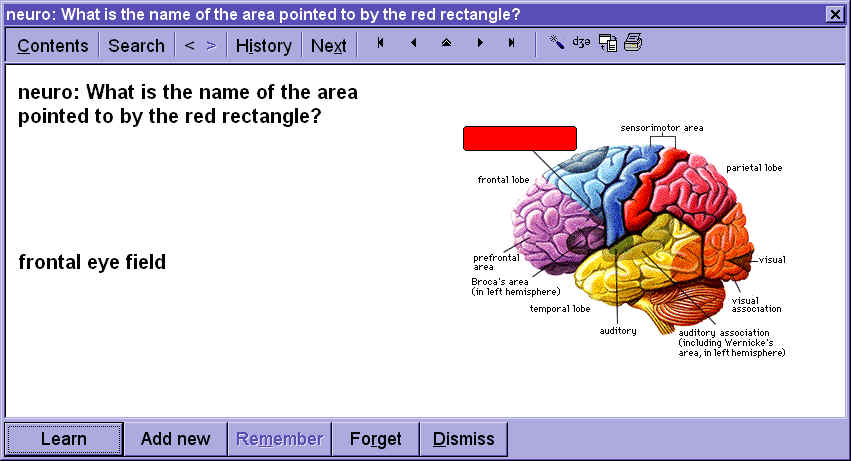 Frontal eye field element (50172 bytes)